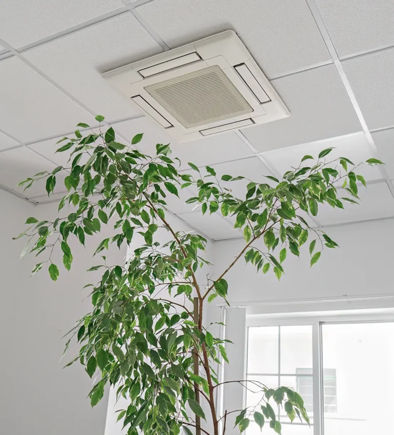 Klimatyzacja do sklepu i lokalu usługowego 3 Klimatyzator kasetonowy w suficie lokalu usługowego – przykładowa aranżacja